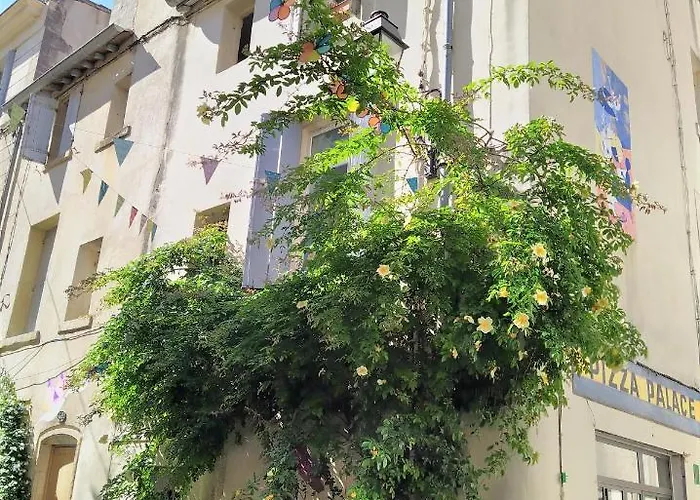 Le Balcon De Saint Roch * Montpellier