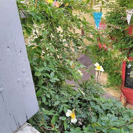 Le Balcon De Saint Roch *