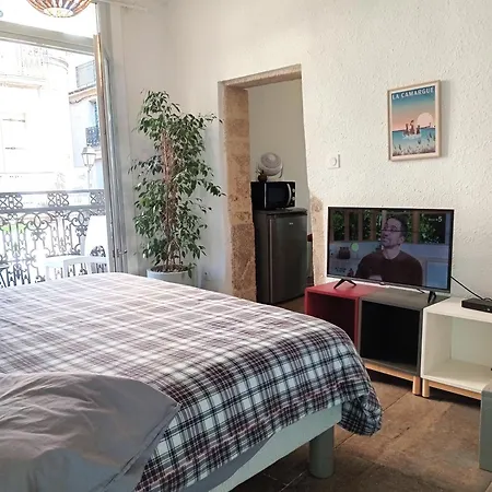 Le Balcon De Saint Roch Appartement Montpellier