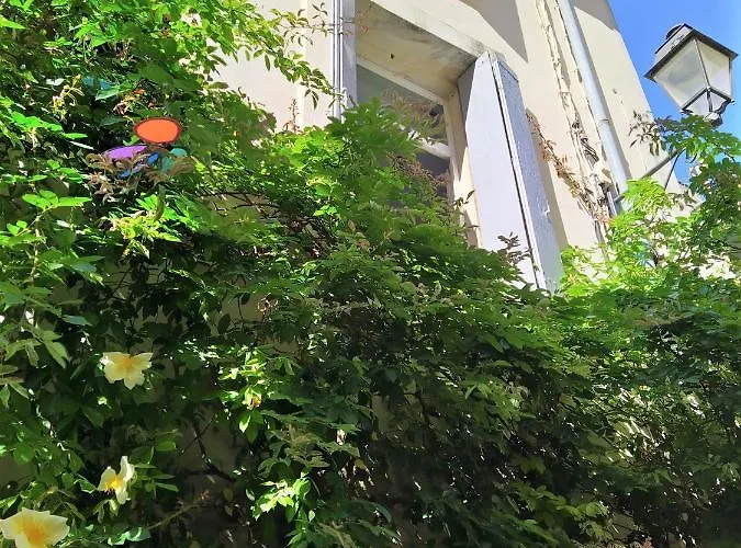 Appartement Le Balcon De Saint Roch Montpellier