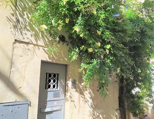 Le Balcon De Saint Roch Appartement Montpellier